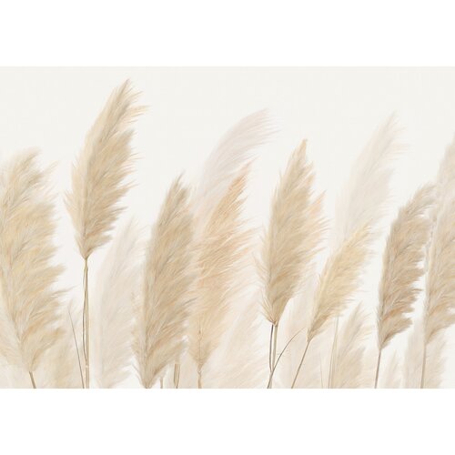 Fototapetă XXL Pampas 360 x 254 cm, 4 părți