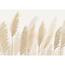 Fototapeta XXL Pampas 360 x 254 cm, 4 części