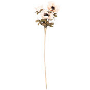 Umetna cvetlica Anemónka krem, 3 cvetovi, 56 x 17cm