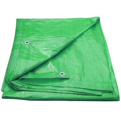 Abdeckfolie mit Ösen 2 x 3 m 100 g/m2, Grün