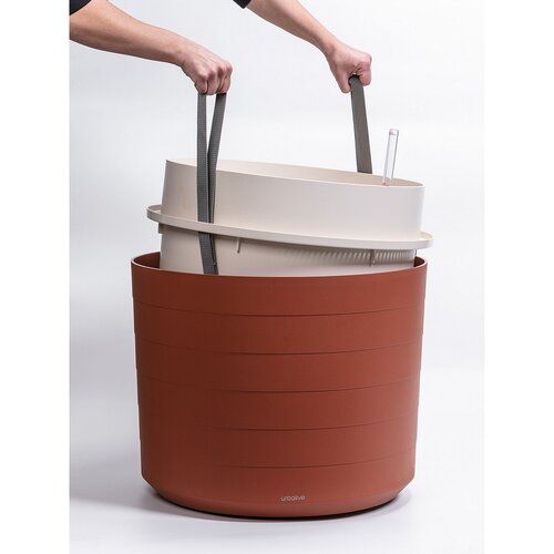 Plastia Plantă de volum mare cu auto-apărareBerberis 55, teracotă + fildeș