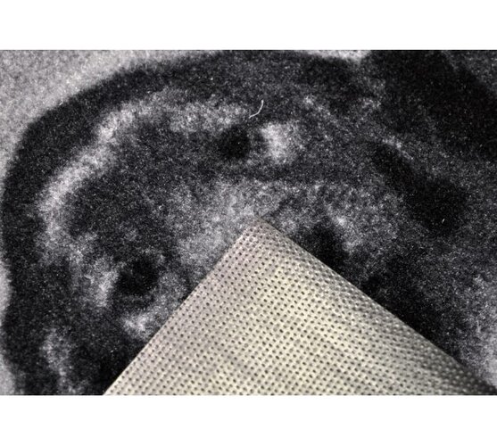 Vnitřní rohožka Štěňata, 40 x 60 cm, bílá + černá, 40 x 60 cm