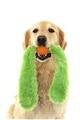 Preťahovacia hračka pre psov - chvostík REBEL DOG, zelená