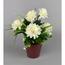 Umělá květina Chrysantéma v květináči 22 cm, bílá