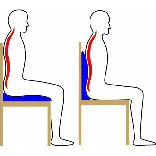 Suport ergonomic și perna de scaun 2în1, albastru