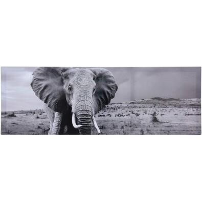 Elefánt falikép 30 x 90 cm