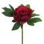Sztuczny kwiat Piwonia czerwony, 34 cm