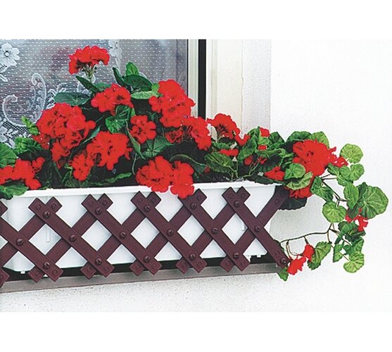 Fereastră de grădină maro