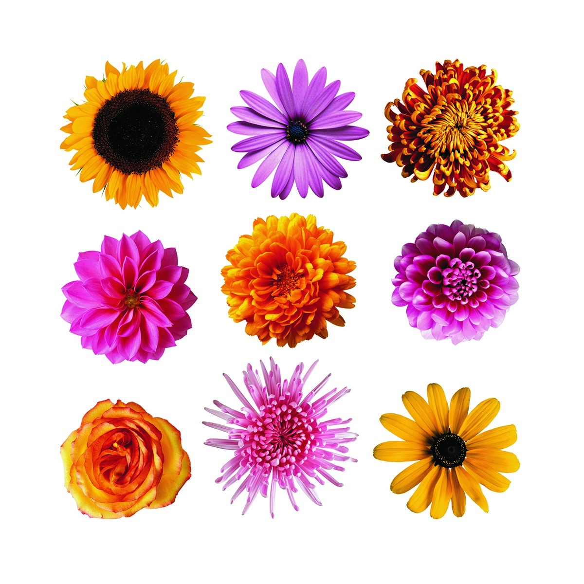 Decorațiune autocolantă Flowers, 30 x 30 cm