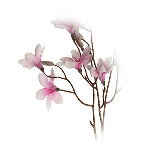 Magnolija veja vijolična v. 70 cm. 9 cvetov inpopki