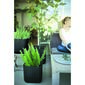 Keter Plastový květináč Cube planter M šedá, 30 x 30 x 30 cm