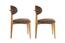 Esszimmerstuhl-Set Lionte Brown and Light Oak, 2 Stück