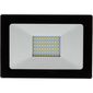 Retlux RSL 245 Reflektor LED, 220 x 152 x 20 mm, 50 W, 4000 lm