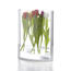 Váza Decade 30 cm, číra