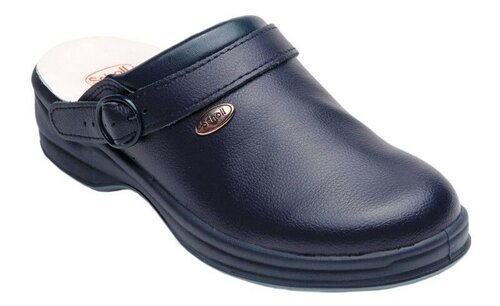 Scholl NEW BONUS  - pracovní obuv  PROFESIONAL vel. 40, modrá