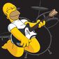 Polštářek The Simpsons Homer, 40 x 40 cm
