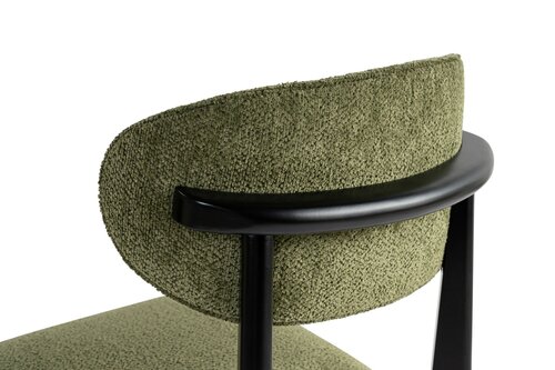 Esszimmerstuhl-Set Lionte Green and Black, 2 Stück