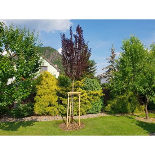 Amispol Versteckter Gartenbordstein, 12,5 x 600 cm