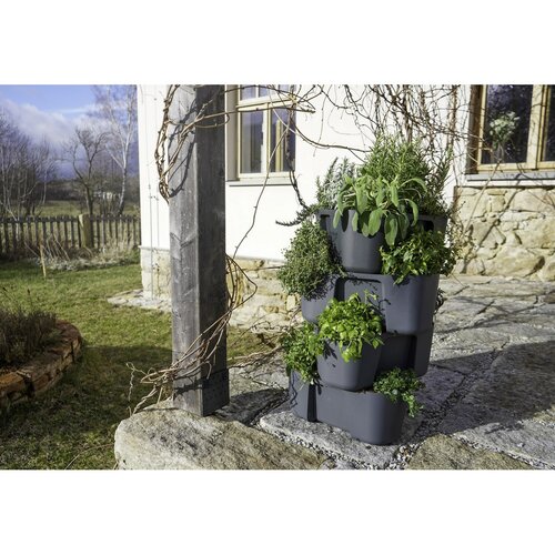 Container pentru cultivare cartofi Gardenico antracit