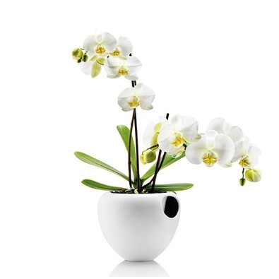 Samozavlažovací kvetináč 15 cm, biely