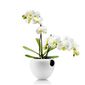 Samozavlažovací květináč 15 cm, bílý