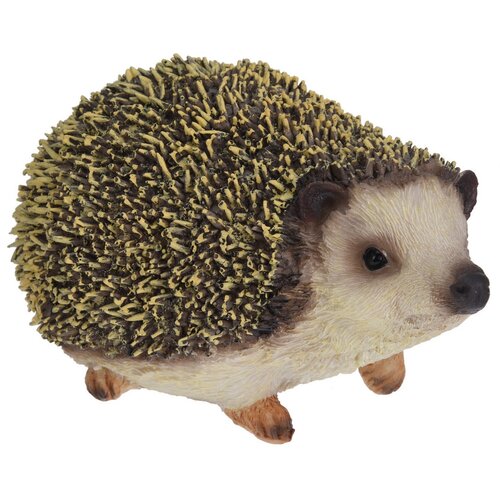 Dekorativer Igelbraun  ,