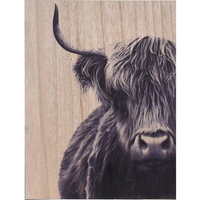 Obraz na dřevě Bull, 28 x 38 cm