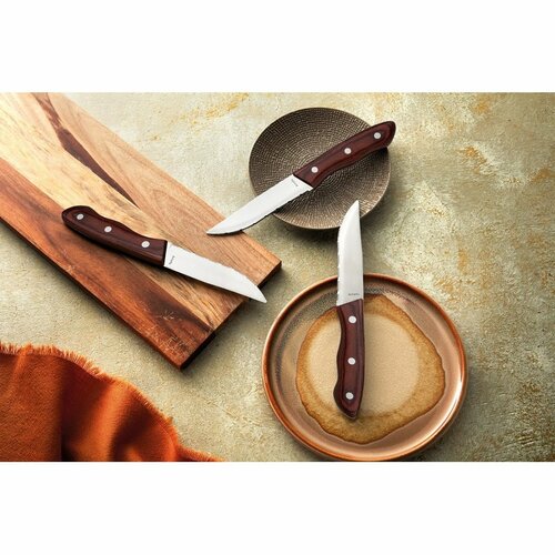 Amefa Steakmesser-Set Hercule, 4 Stück