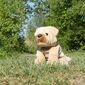 Rappa Pluszowy pies Shar pei 30 cm ECO - FRIENDLY