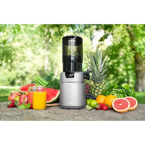 Concept LO7120 csavaros gyümölcscentrifuga, szürke