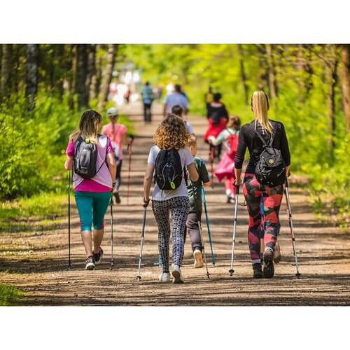 Bastoane de nordic walking cu mâner din plută, albastru