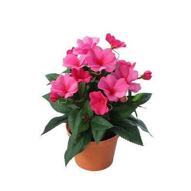 Umetna netýkavka v lončku temno roza, 24 cm