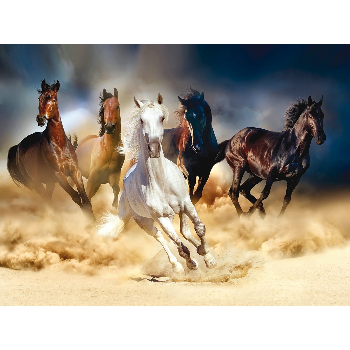 Fototapeta XXL Horses 360 x 270 cm, 4 díly