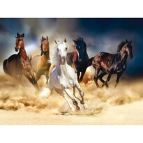 Fototapeta XXL Horses 360 x 270 cm, 4 diely