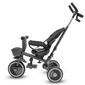 Tricicleta pentru copii Baby Mix 5in1 Relax 365°,gri