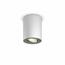 Philips Hue 56330/31/P9 LED lampa punktowa 5,5 W, biały