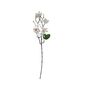 Sztuczna gałązka magnolii biała, 64 cm