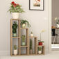 Biblioteczka Sule Oak