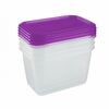 Keeeper Zestaw pojemników plastikowych do mrożenia, 4x 0,75 l Fredo Fresh, fioletowy
