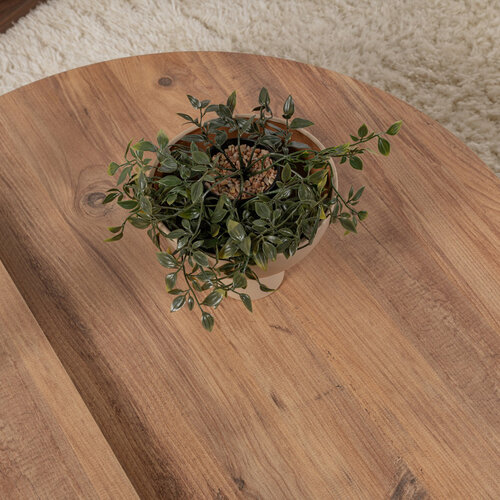 Couchtisch Orion Atlantic Pine