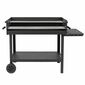 Tepro 00299-1 Grill Atlanta, 136 x 63 x 91 cm