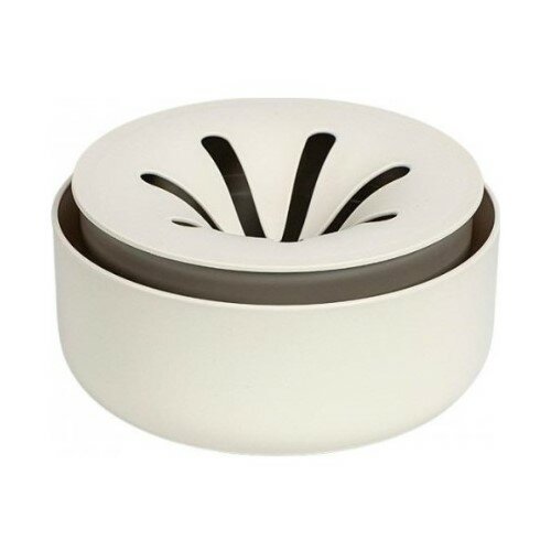 Plastia Regrow, Elfenbein