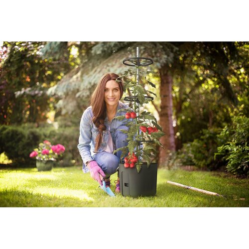 Gardenico Anzuchtbehälter für Tomaten  Anthrazit, D. 39 cm