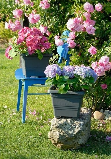 Doniczka Plastia Begonia 60 x 60, antracytowa