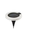 Rabalux 77187 vonkajšia solárna zapichovacia LED lampa Bokod, 0,05 W