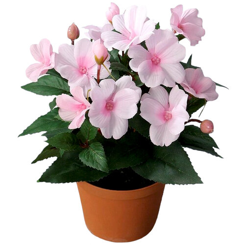 Umetna netýkavka v lončku roza, 24 cm