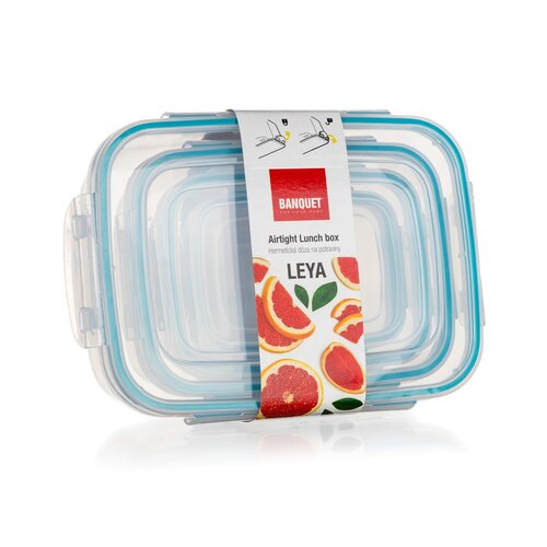 Banquet Set of plastic containers with lids Leya,4 pcs