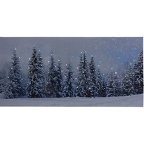 Atienza LED vászon kép, 58 x 28 cm Atienza LED vászon kép, 58 x 28 cm