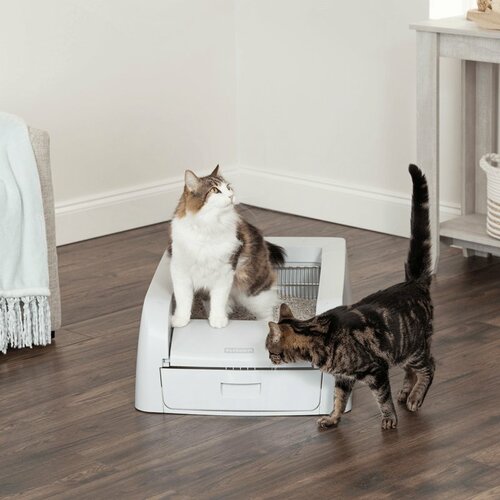 PetSafe® ScoopFree™ automata öntisztító macska WC termék 2. képe