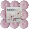 Čajová sviečka Aromatic, Magnolia,18 ks, Bolsius, ružová